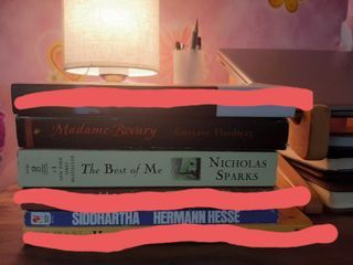 FREE BOOKS l Madame Bovary, The best of me,  Siddharta,