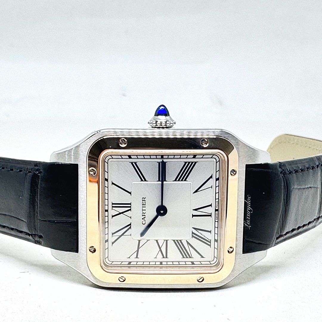 Cartier shop santos price
