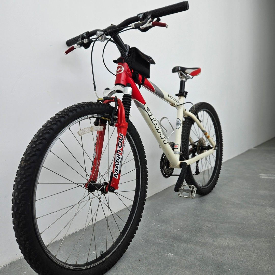 Giant iguana bicycle new arrivals