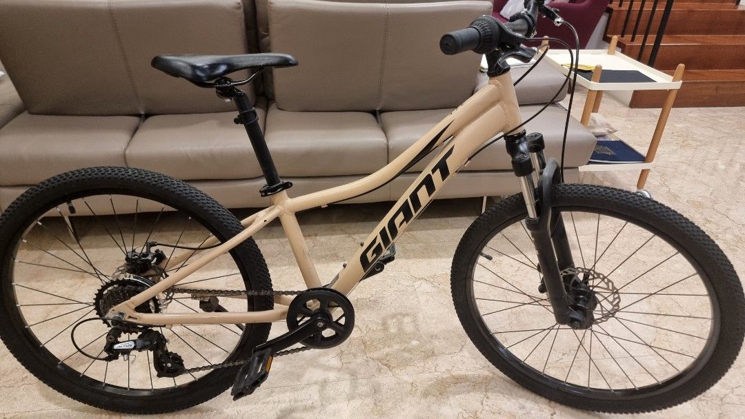 Giant kid bike 24