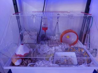 (Category: ) located in . Submitted by casjach (Listing ID 1277219642, Image 1). Description: .