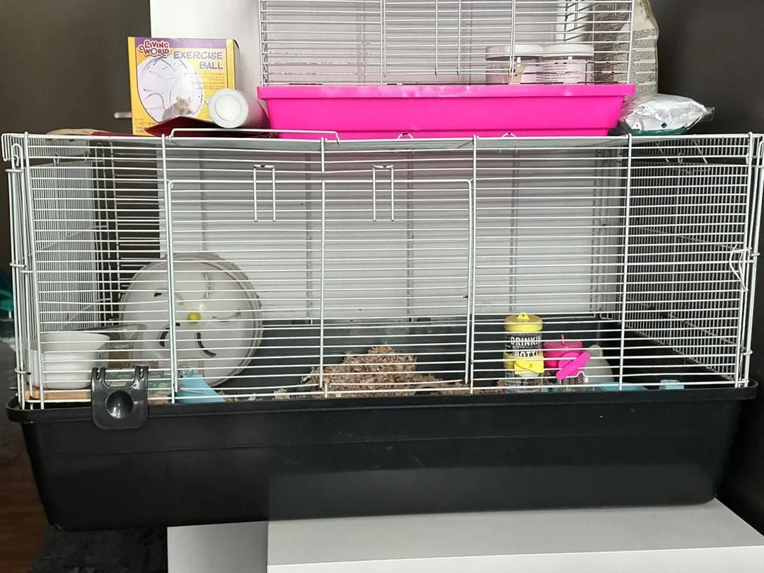 Hamster Cage for sale Pet Supplies Homes Other Pet Accessories
