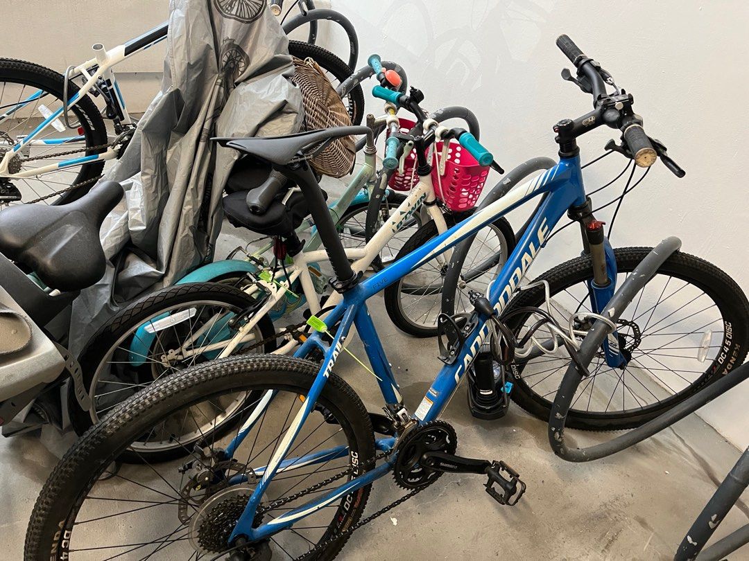 Mountain bike Cannondale Trail 5 model EN14766 in great conditions Sports Equipment Bicycles Parts Bicycles on Carousell