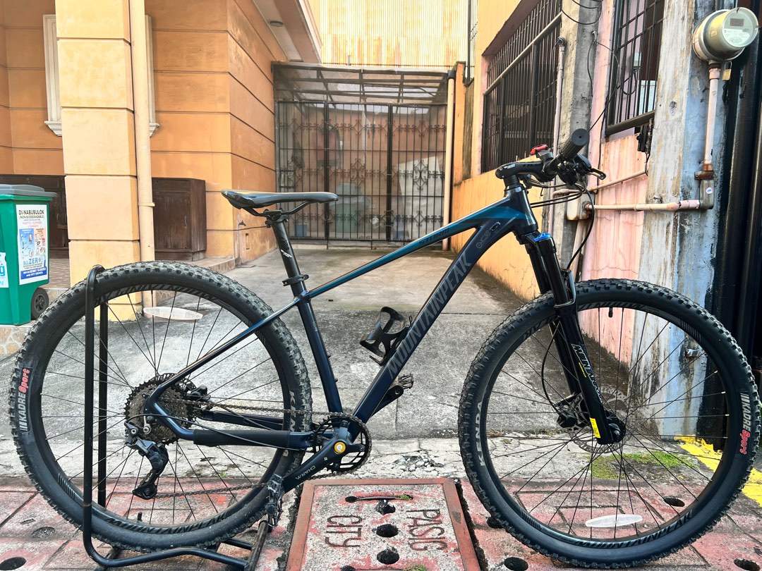 Mountain peak panther sales 29er