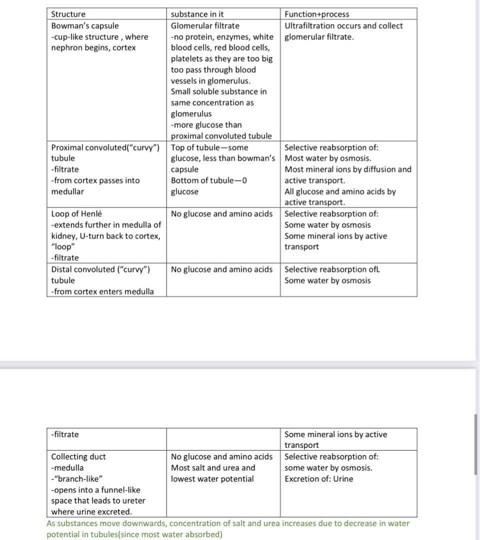 Rgs Science Notes RGS Sec 3 Biology notes O level/IP A+, Hobbies & Toys, Books ...