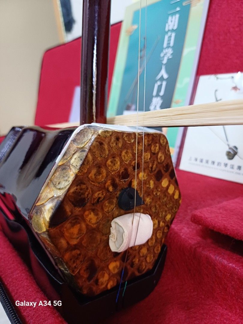 全新中國蘇州二胡, 興趣及遊戲, 音樂、樂器& 配件, 樂器- Carousell