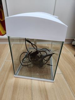 （分類：）位於 。 由 liveocean.c189dc 提交（商品編號 1277476514，圖片 1）。簡介： 。