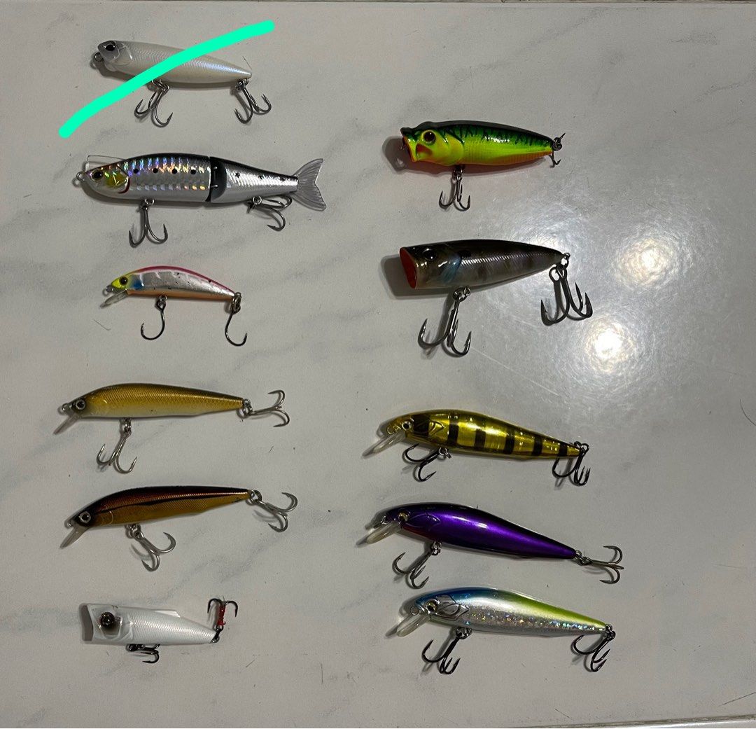 popper lure, Sports Equipment, Fishing on Carousell