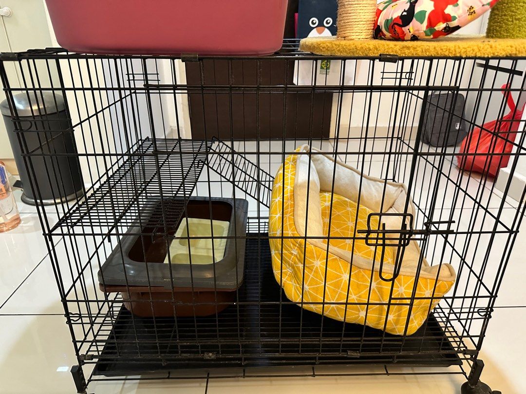Cat new arrivals cage accessories