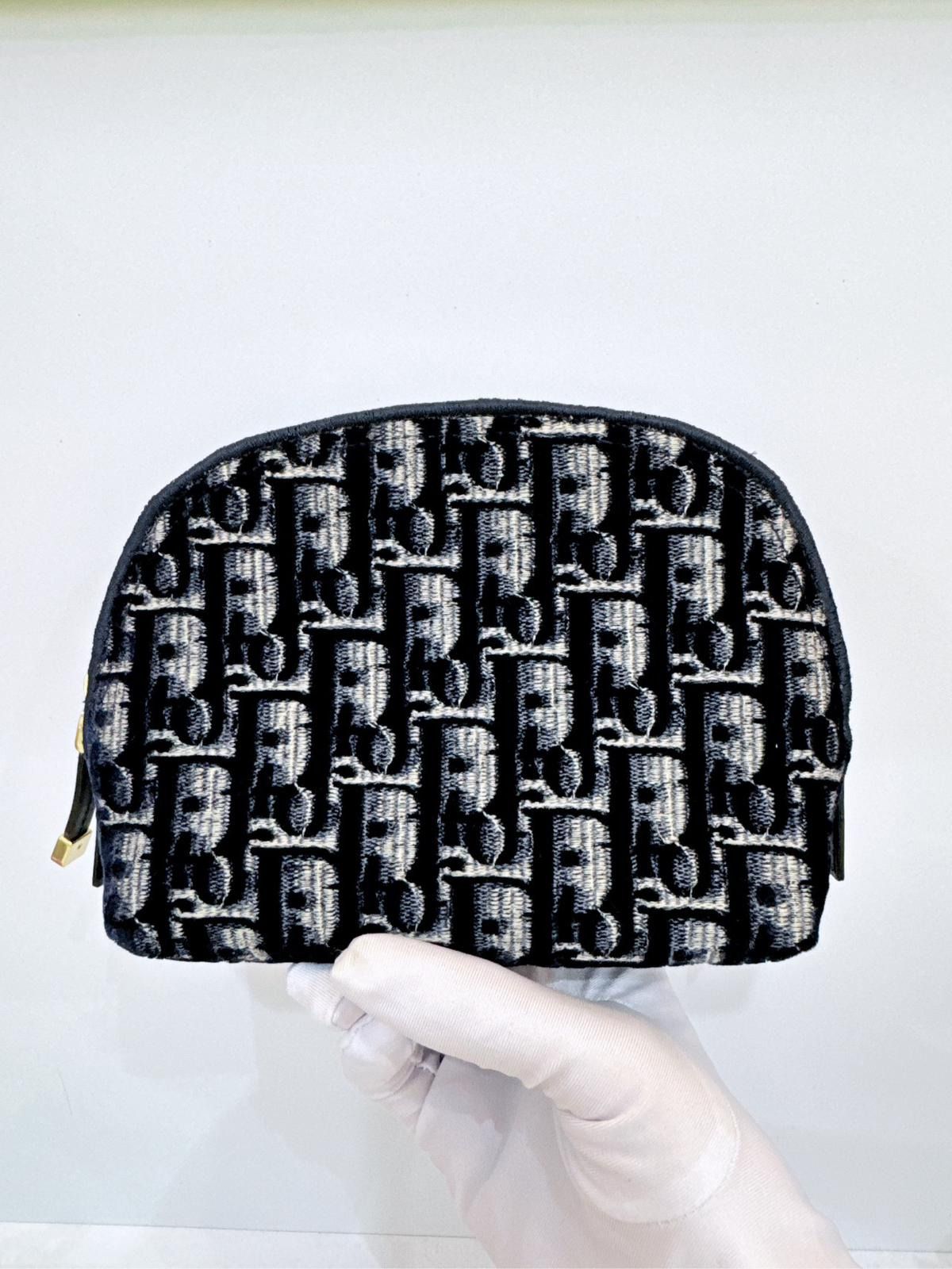 Dior oblique shop makeup bag