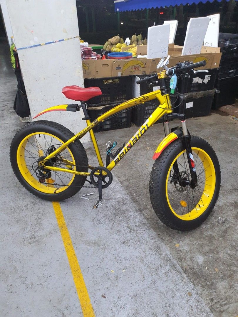 Fat bike clearance clearance
