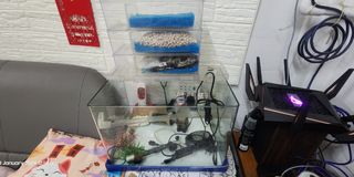 (Category: ) located in . Submitted by n.qx_tech (Listing ID 1277565845, Image 1). Description: .