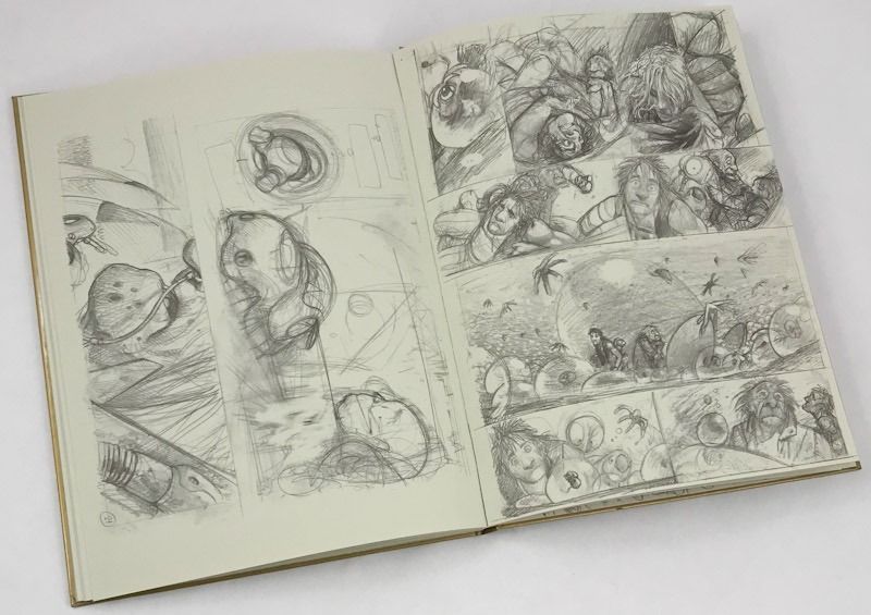 Frezzato Sketchbook Hardcover – 1 February 2001 by Massimo