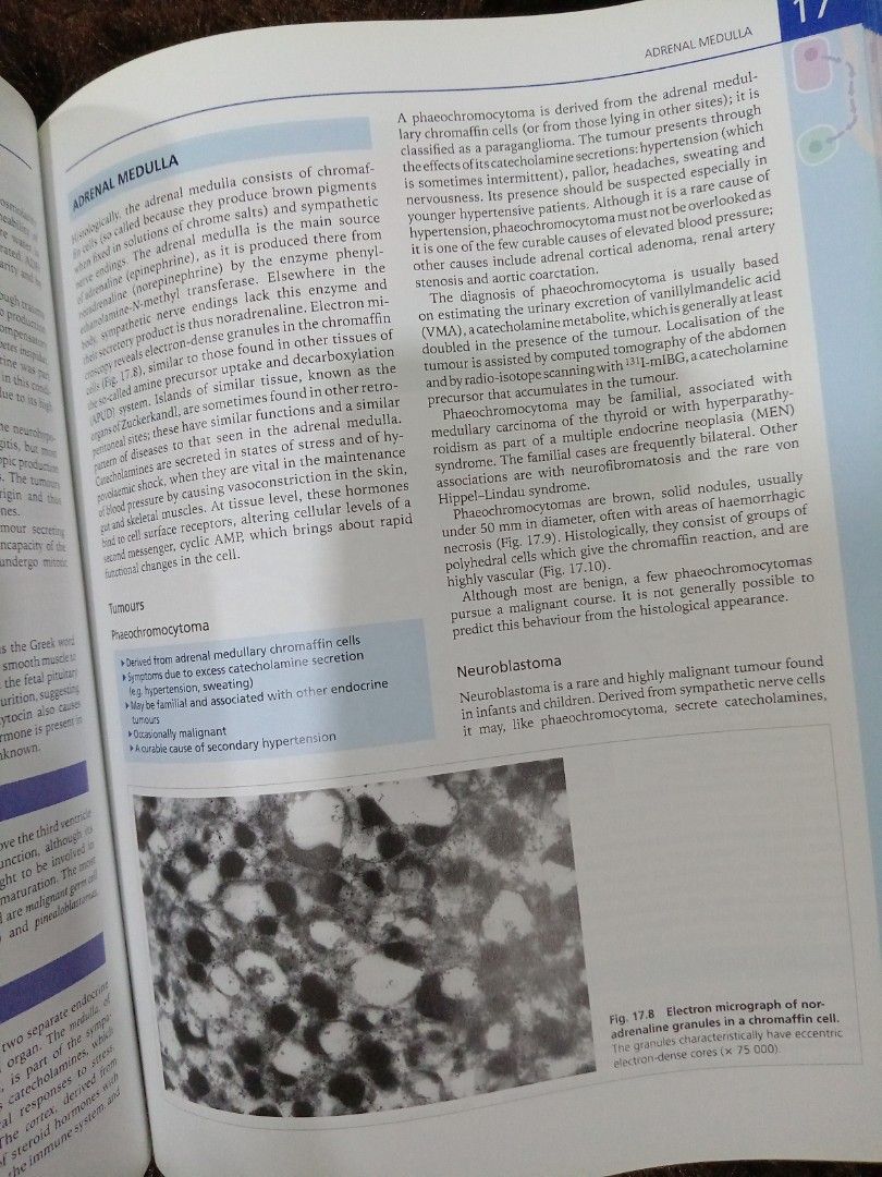 MASTER MEDICINE GENERAL AND SYSTEMATIC PATHOLOGY PDF visual data 6