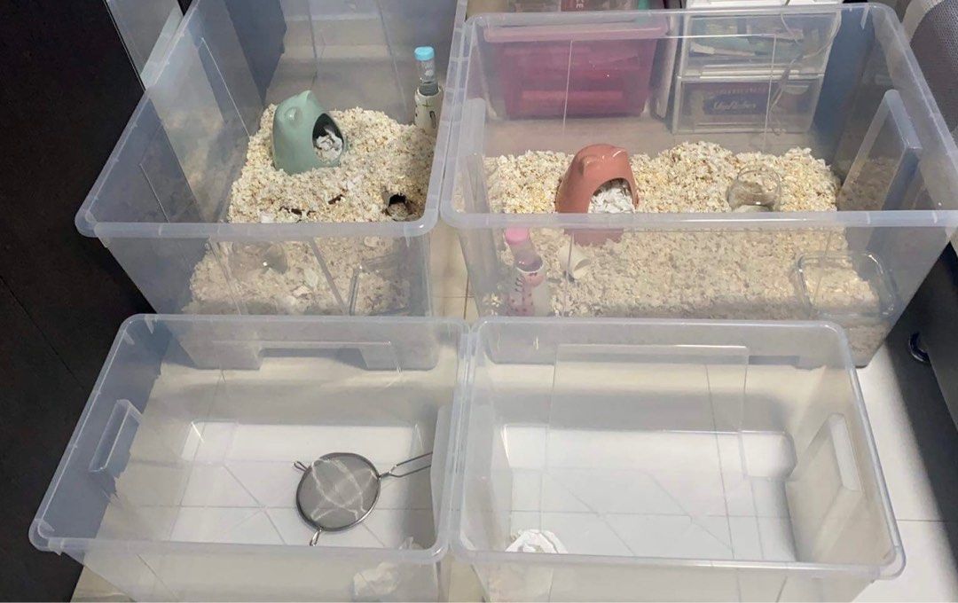 Ikea samla 2025 bin cage