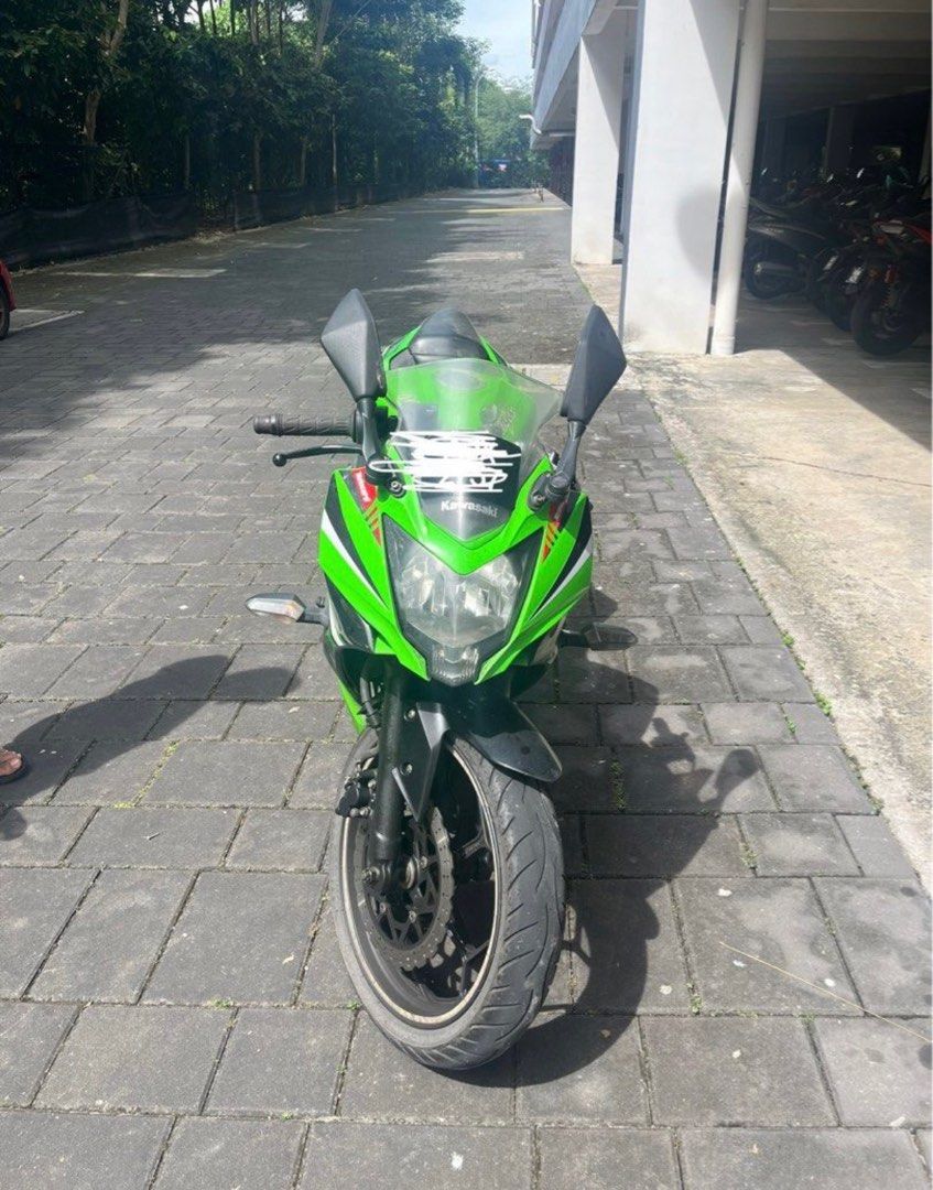 Winglet ninja online 250 sl