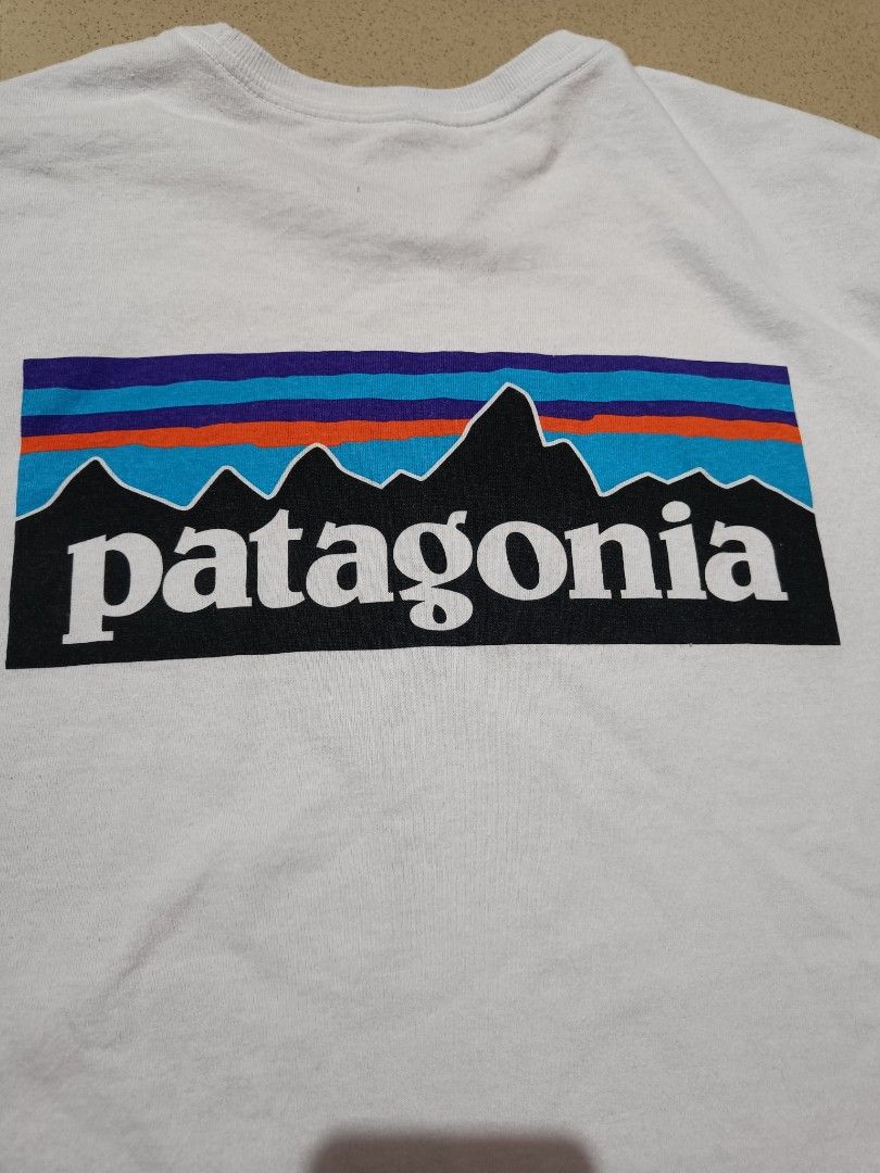 Patagonia, Men's Fashion, Tops & Sets, Tshirts & Polo Shirts on Carousell