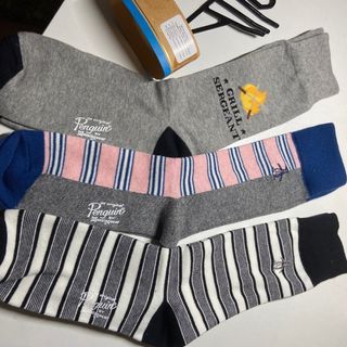 Penguin Bundle Socks for Men