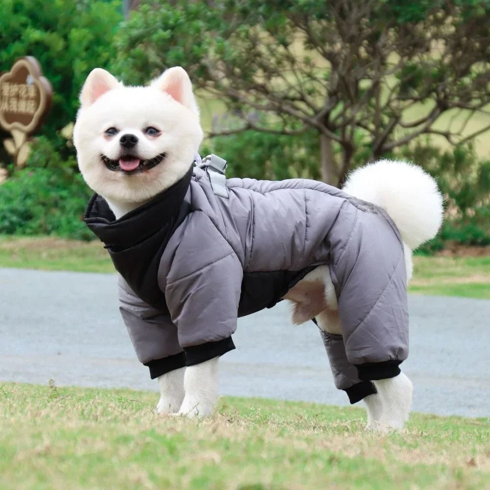 Cotton new arrivals dog jumper