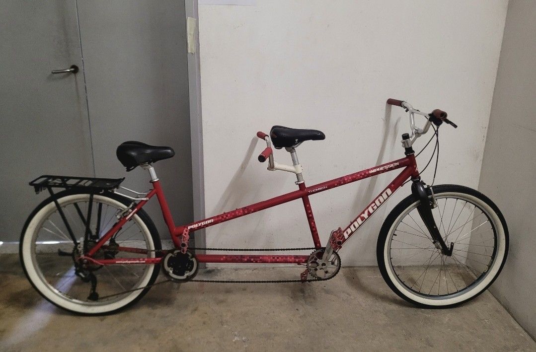 Polygon hotsell tandem 2021