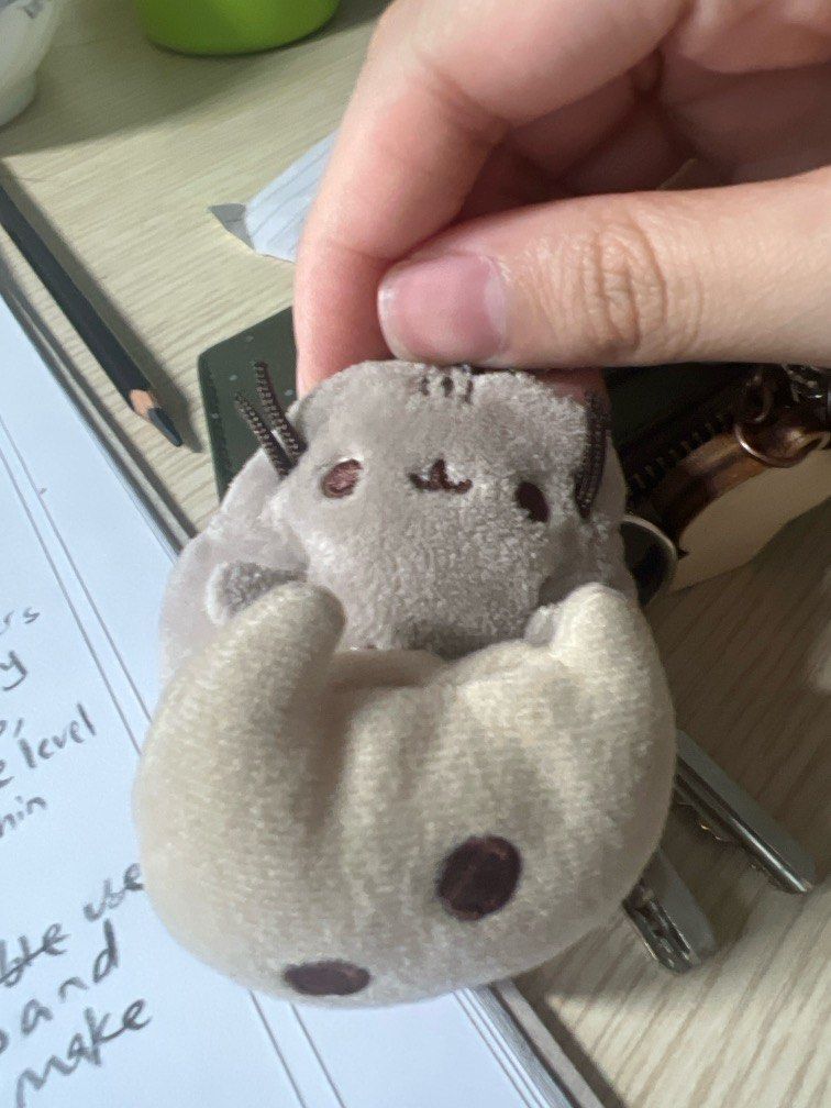 Pusheen retractable keychain deals