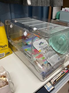 （分類：）位於 。 由 dropitlikeitslot 提交（商品編號 1277497671，圖片 1）。簡介： 。
