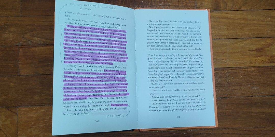The Outsiders Literature Book, Secondary Lit Book, Hobbies & Toys ...