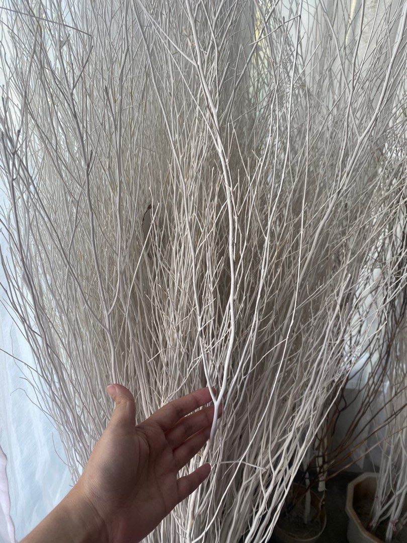 Twigs sale for sale