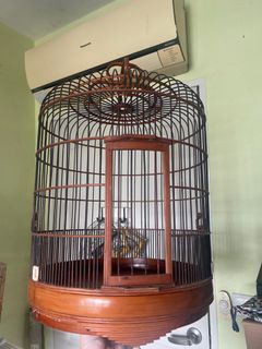 (Category: ) located in . Submitted by birdflynow (Listing ID 1277689423, Image 1). Description: .