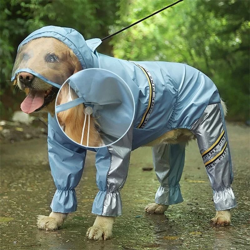 Dog raincoat for store labrador