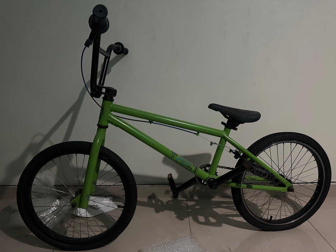 Mongoose culture outlet