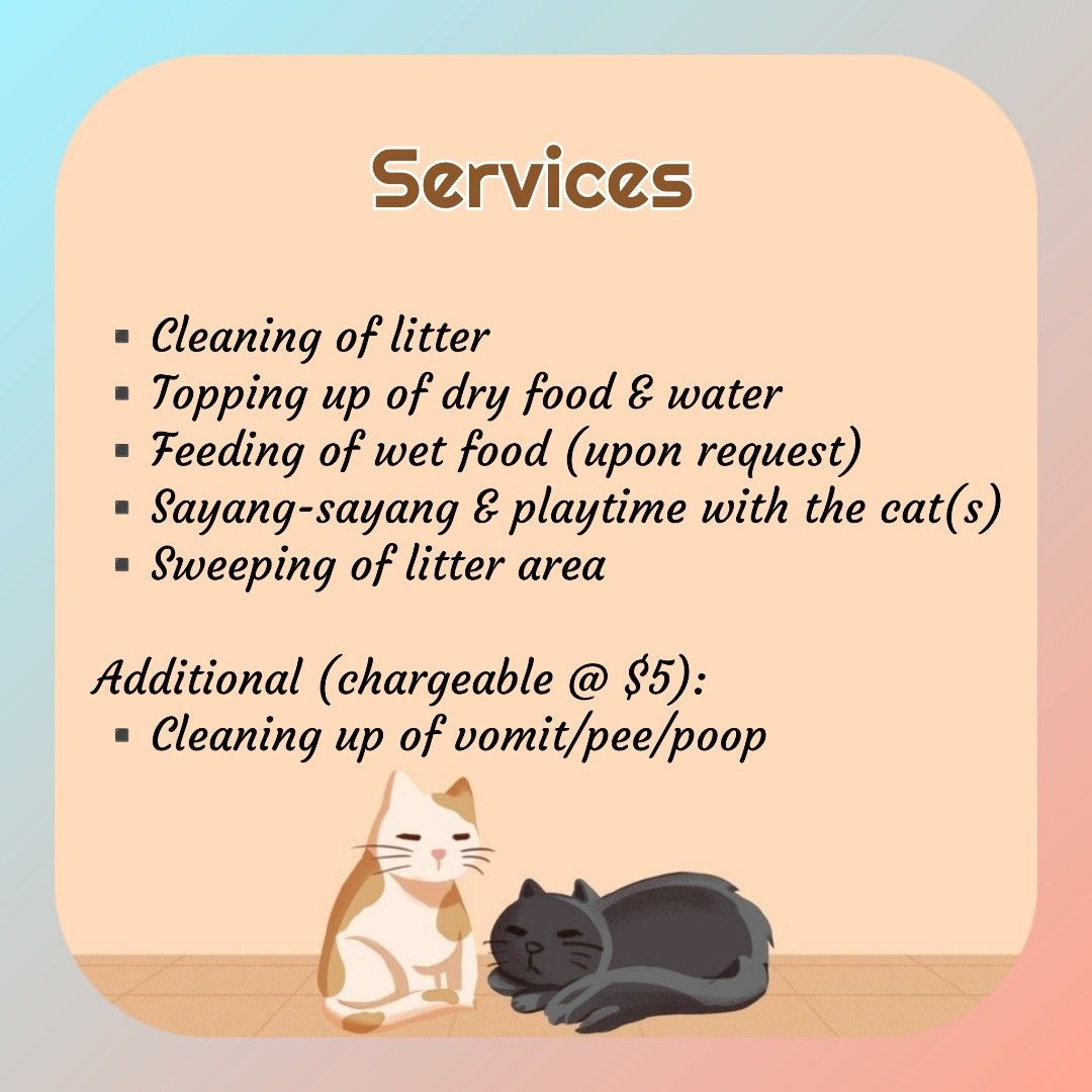 Cat outlet sitting service