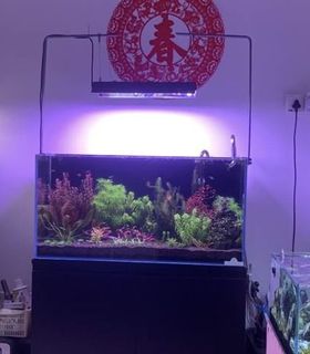 (Category: ) located in . Submitted by kaydenckx (Listing ID 1277627071, Image 1). Description: .