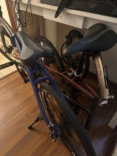(Category: ) located in . Submitted by 2ez4jat (Listing ID 1277730970, Image 1). Description: .
