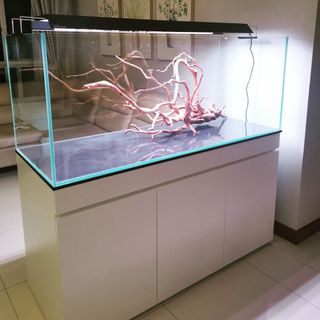 (Category: ) located in . Submitted by aquaticstore (Listing ID 1277760673, Image 1). Description: .