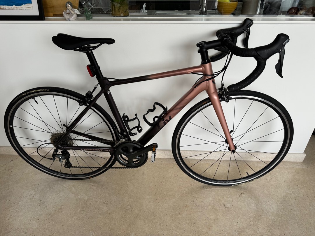 Giant Liv Langma SL 2 2021 Sports Equipment Bicycles Parts