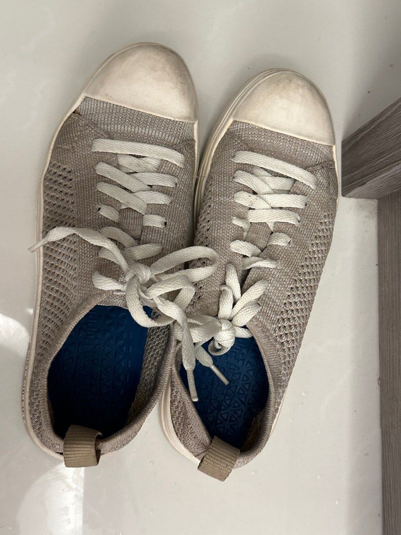 Hush puppies schnoodle new arrivals