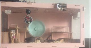 (Category: ) located in . Submitted by lizanao (Listing ID 1277633080, Image 1). Description: .