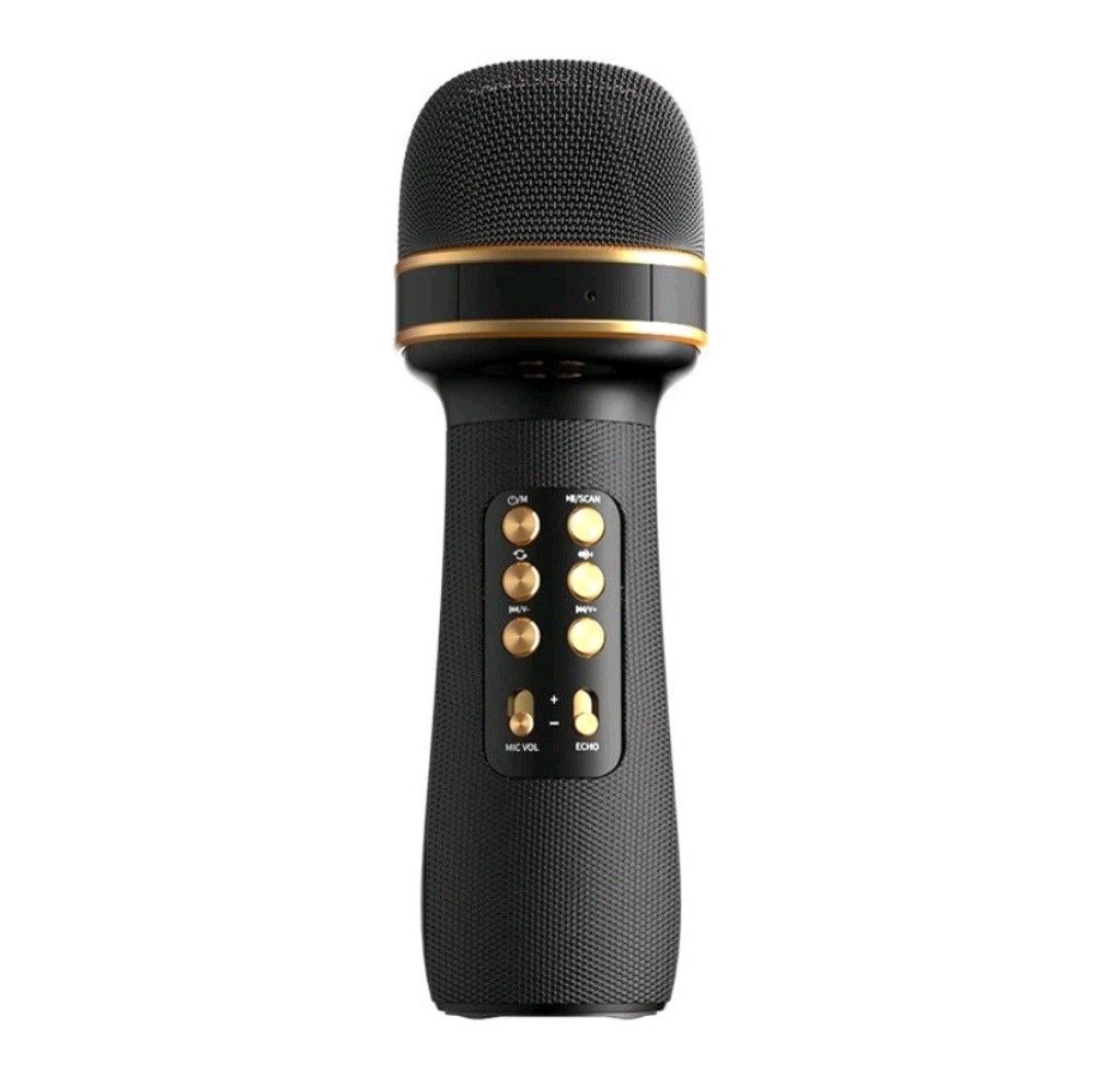 WSTER WS898 Karaoke Mic Portable Bluetooth Wireless Microphone