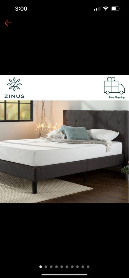 Zinus 2025 shalini platform