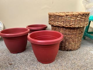 Rattan planter and plastic pots