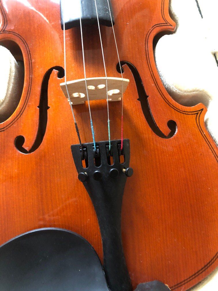 Adult beginner violin discount