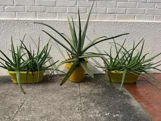 （分類：）位於 。 由 davisn8438 提交（商品編號 1277926859，圖片 1）。簡介： 。