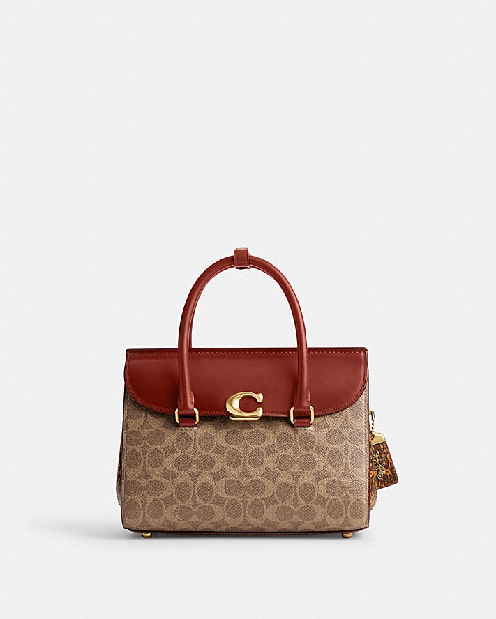 Coach | Broome Carryall In Signature Canvas With Snakeskin Detail ...