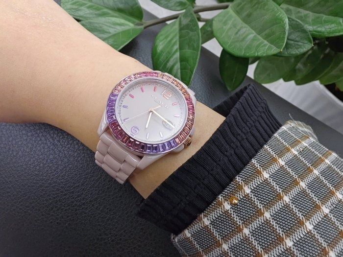 Coach watch rainbow best sale