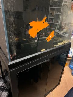 （分類：）位於 。 由 sheeba-16 提交（商品編號 1274751053，圖片 1）。簡介： 。