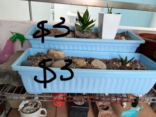 (Category: ) located in . Submitted by clar1122 (Listing ID 1277943238, Image 1). Description: .