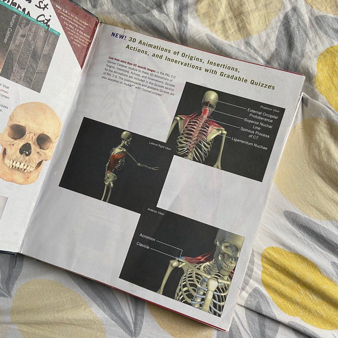 Human Anatomy books & photographic atlas of the body book, Hobbies ... Biology Diagrams
