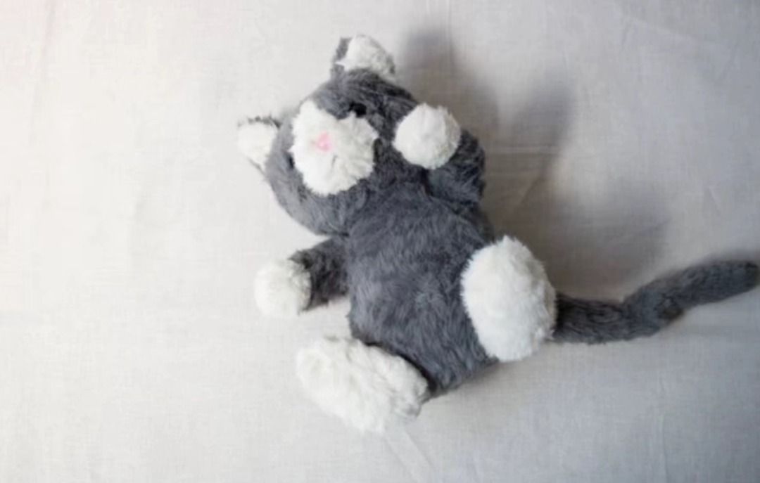 Molly mitten kitten sales