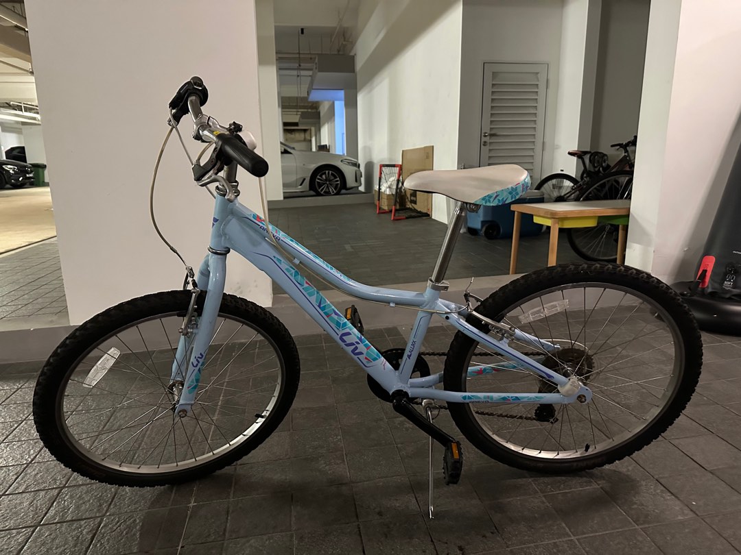 Giant areva top 24 review
